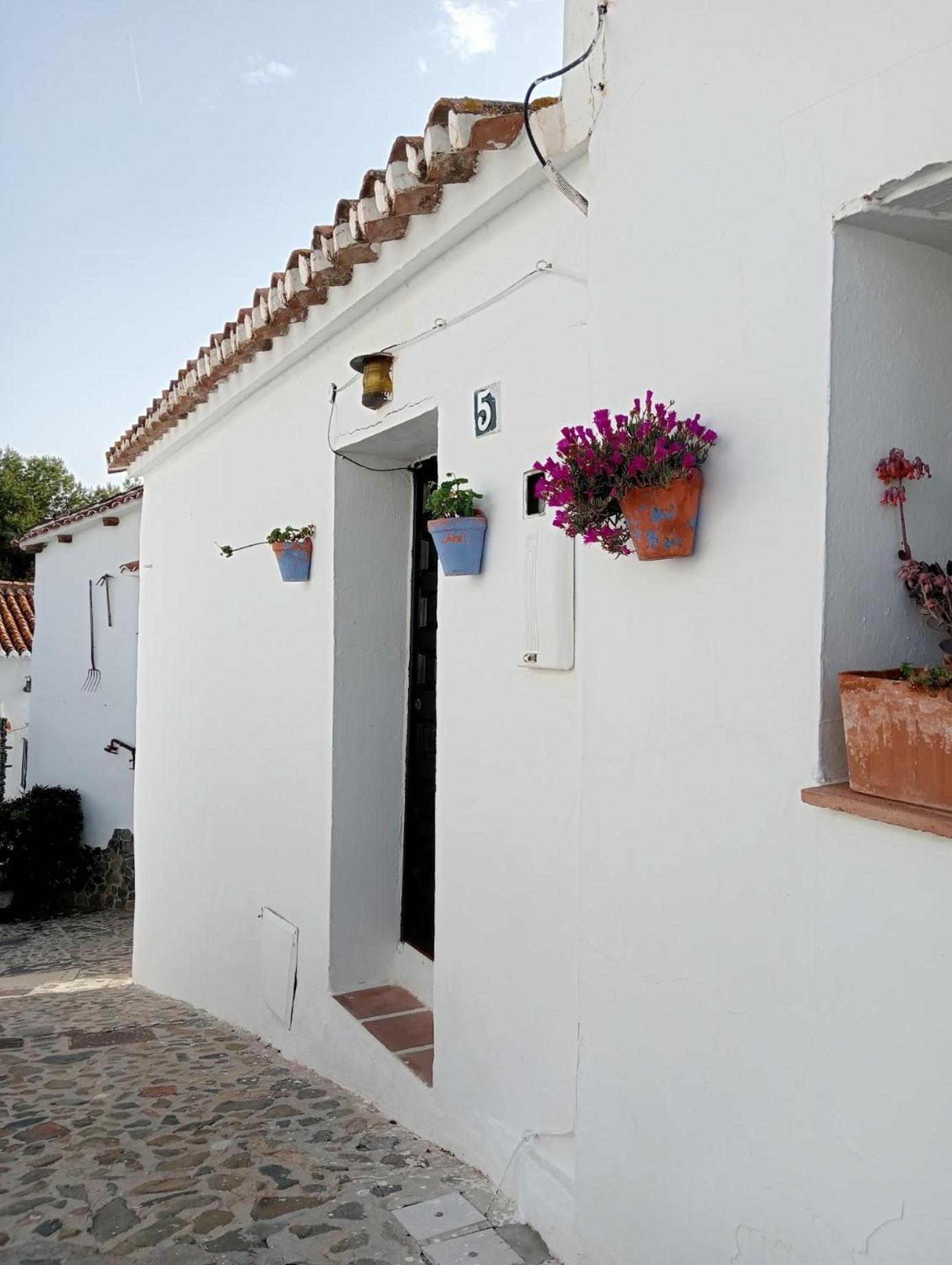 Ferienwohnung Jardin De Mucho Macharaviaya Exterior foto