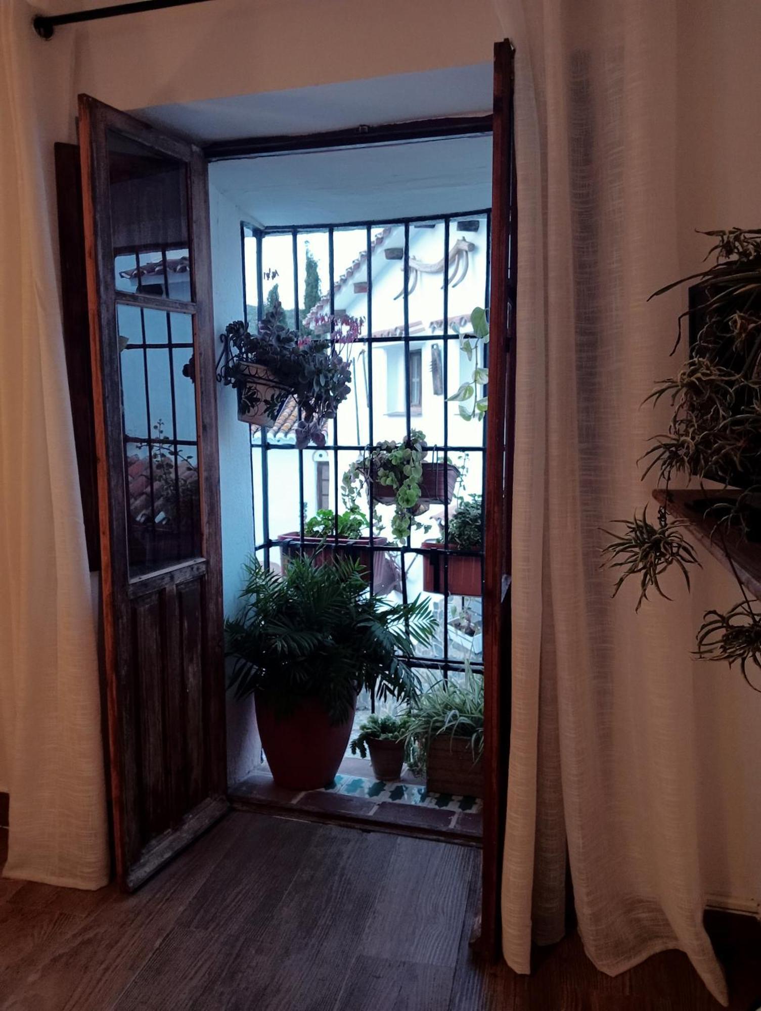 Ferienwohnung Jardin De Mucho Macharaviaya Exterior foto
