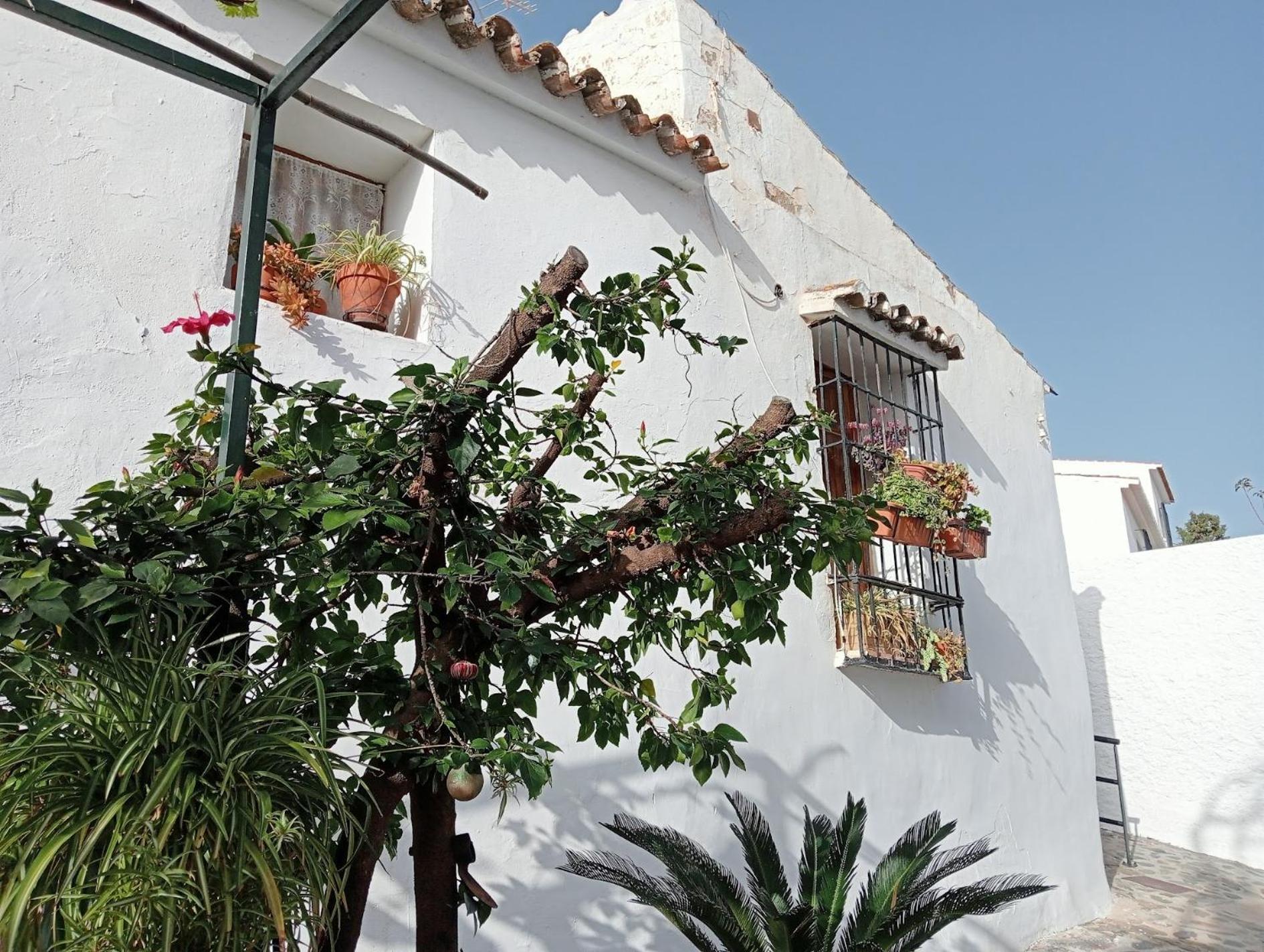 Ferienwohnung Jardin De Mucho Macharaviaya Exterior foto
